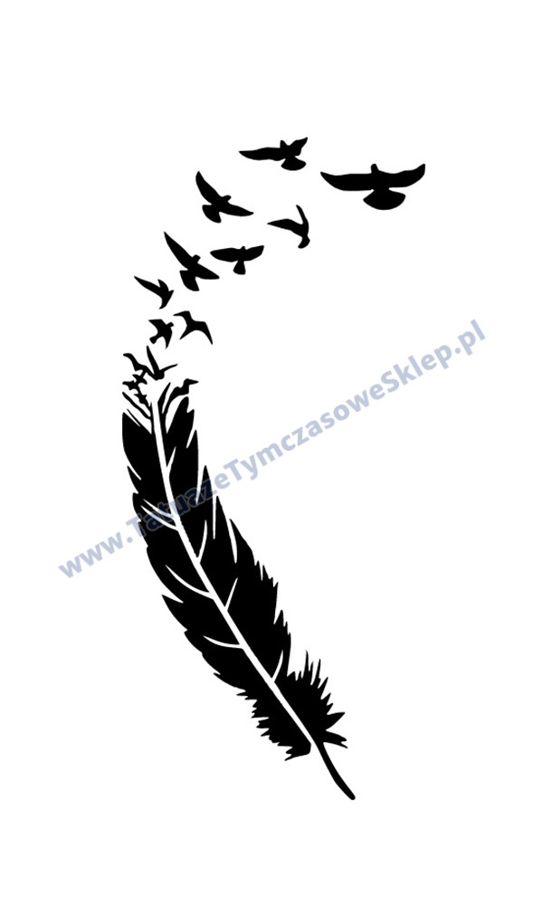 600x1000 piorkoptaki