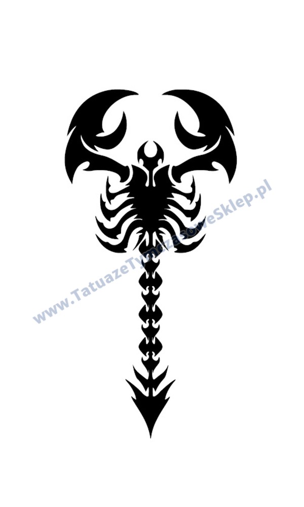 600x1000 skorpion